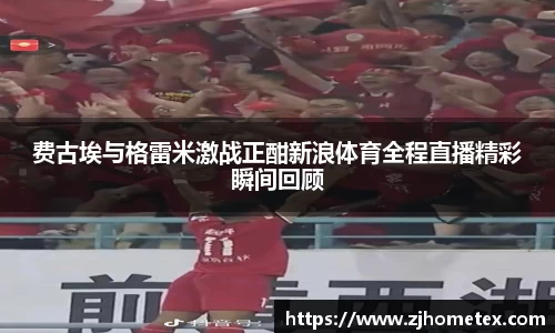 费古埃与格雷米激战正酣新浪体育全程直播精彩瞬间回顾
